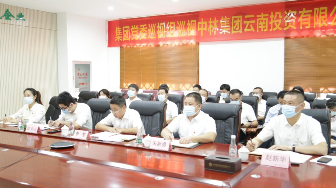 集团党委巡视组向中林集团云南投资有限公司党支部反馈巡视情况